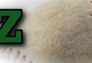 ZLL “Town Hall” meeting to discuss new 50/70 baseball division