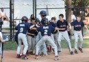 Major and Minor Baseball Post Season Tournament Brackets Set