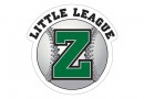 Show Your Support for ZLL with Car Window Decals