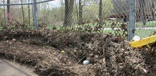 Lions’ Park cleanup efforts begin Sunday and Monday;  Opening Night on April 26