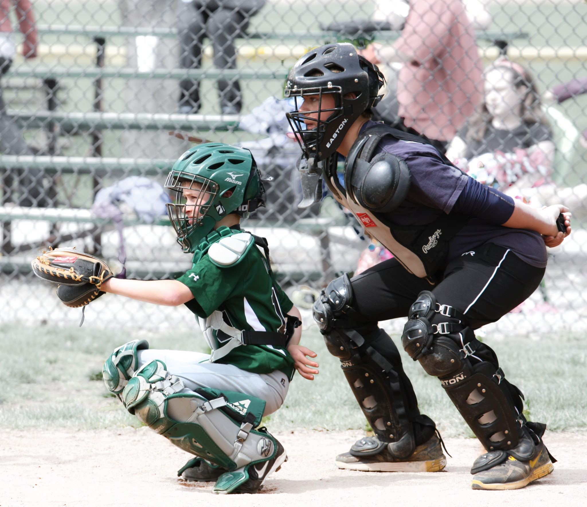 Umpires – Zionsville Little League